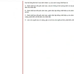 VNR202 SU25 B5 FE_003.webp