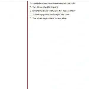 VNR202 SU25 B5 FE_018.webp