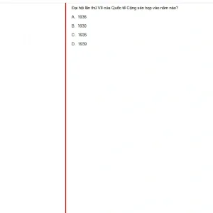 VNR202 SU25 B5 FE_035.webp