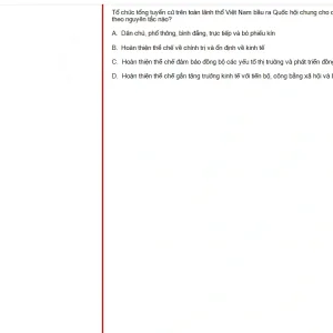 VNR202 SU25 B5 FE_043.webp
