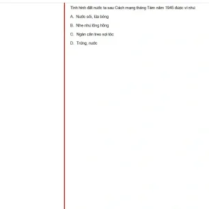VNR202 SP25 FE RE_006.webp