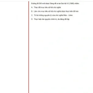 VNR202 SP25 FE RE_013.webp