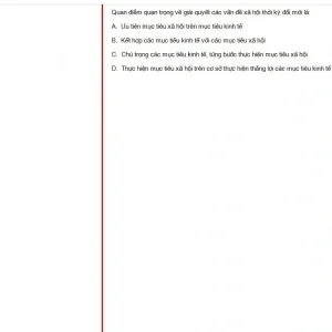 VNR202 SP25 FE RE_016.webp
