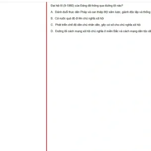 VNR202 SP25 FE RE_028.webp