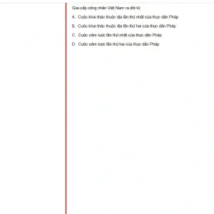 VNR202 SP25 FE RE_031.webp