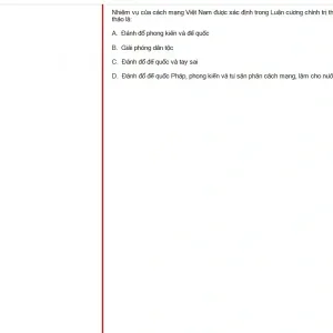 VNR202 SP25 FE RE_034.webp