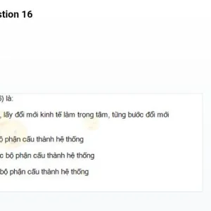 mc_question_16.jpg