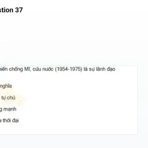 mc_question_37.jpg