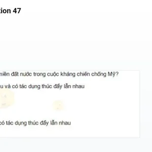 mc_question_47.jpg