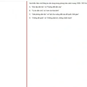 VNR202 SP25 FE RE_058.webp
