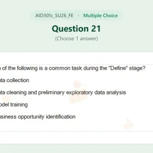 AID301c SU26 FE_021.webp