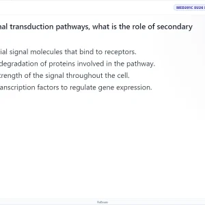 MED201c SU26 FE_44.webp