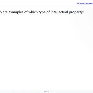 LAW201c SU26 FE RE_12.webp