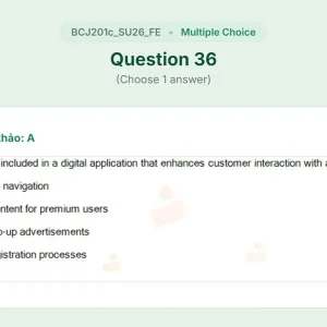 BJC201c SU26 FE_036.webp