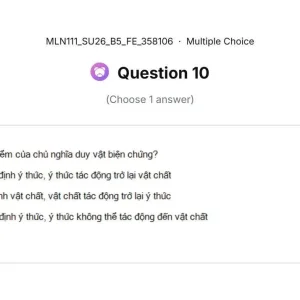MLN111 SU26 B5 FE_010.webp