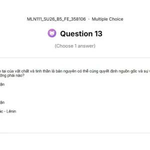 MLN111 SU26 B5 FE_013.webp