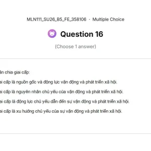 MLN111 SU26 B5 FE_016.webp