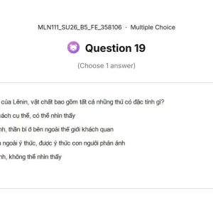 MLN111 SU26 B5 FE_019.webp