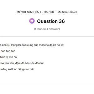 MLN111 SU26 B5 FE_036.webp