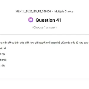 MLN111 SU26 B5 FE_041.webp