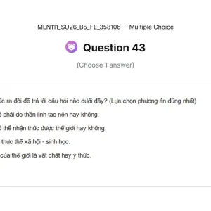 MLN111 SU26 B5 FE_043.webp