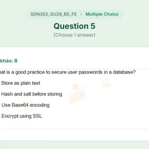 SDN302 SU26 B5 FE_005.webp