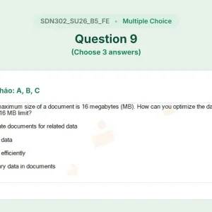 SDN302 SU26 B5 FE_009.webp