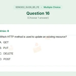 SDN302 SU26 B5 FE_016.webp