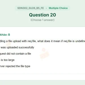 SDN302 SU26 B5 FE_020.webp