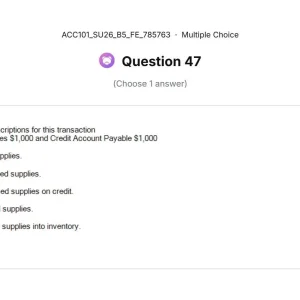 ACC101 SU26 B5 FE_047.webp