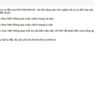 MLN131 SU26 B5 FE_004.webp