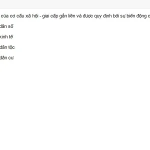 MLN131 SU26 B5 FE_010.webp
