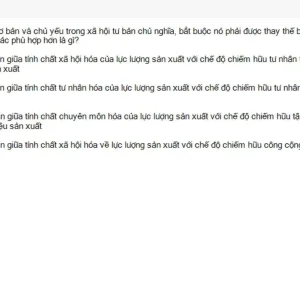 MLN131 SU26 B5 FE_020.webp