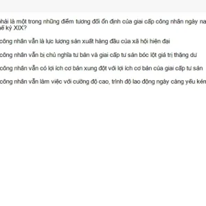MLN131 SU26 B5 FE_022.webp