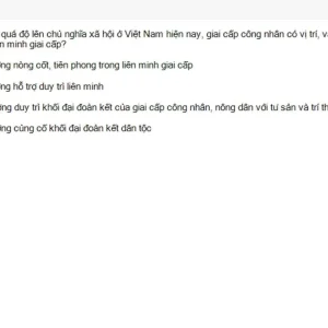 MLN131 SU26 B5 FE_024.webp