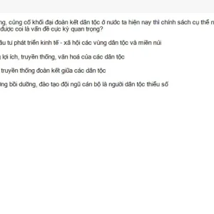 MLN131 SU26 B5 FE_028.webp