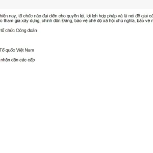 MLN131 SU26 B5 FE_029.webp