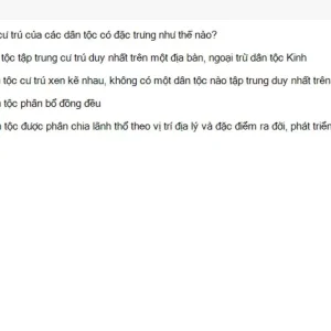MLN131 SU26 B5 FE_031.webp