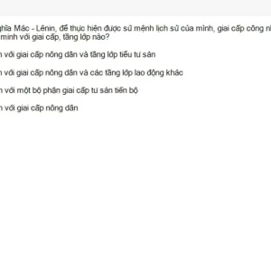 MLN131 SU26 B5 FE_039.webp