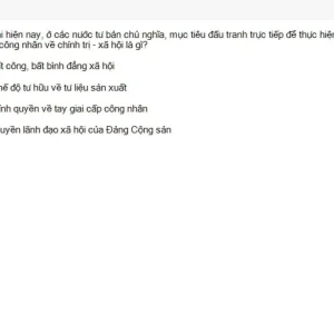 MLN131 SU26 B5 FE_040.webp