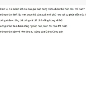 MLN131 SU26 B5 FE_042.webp