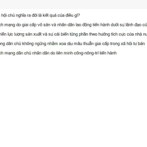 MLN131 SU26 B5 FE_047.webp