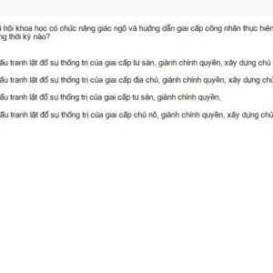 MLN131 SU26 B5 FE_049.webp
