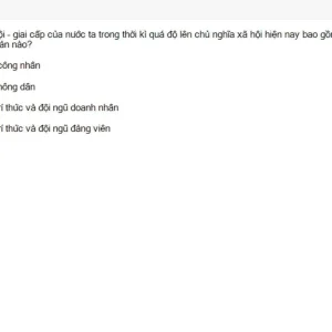 MLN131 SU26 B5 FE_051.webp