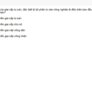 MLN131 SU26 B5 FE_055.webp