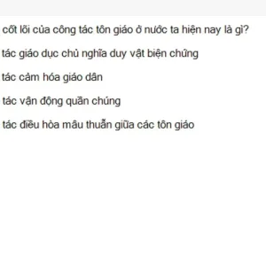 MLN131 SU26 B5 FE_056.webp