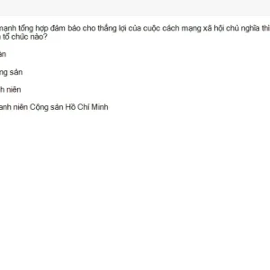 MLN131 SU26 B5 FE_057.webp