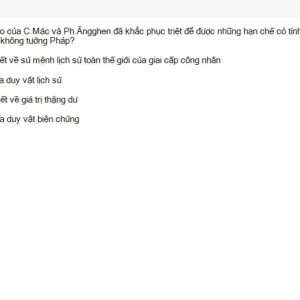 MLN131 SU26 B5 FE_059.webp