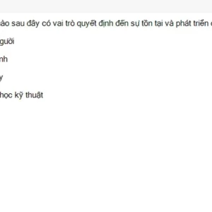 MLN131 SU26 B5 FE_060.webp