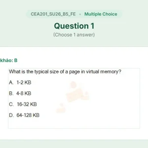 CEA201 SU26 B5 FE_001.webp